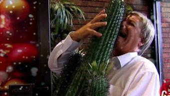 吃瓜网红三太子是谁,吃瓜网红三太子的传奇故事  第1张