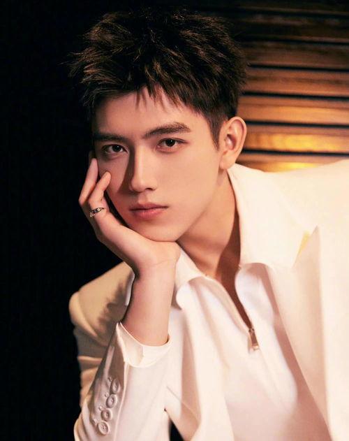 爆料娱乐圈陈飞宇,揭秘明星背后的故事  第2张